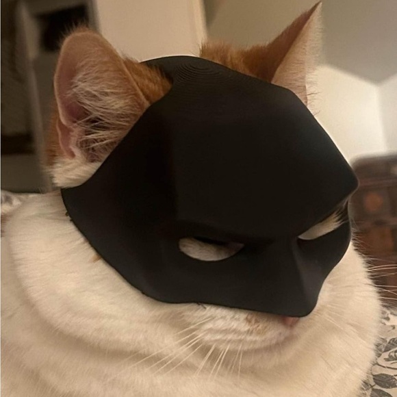 Cat Bat Mask - Picture 1 of 1